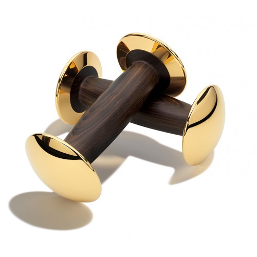 Hockloft_Gouden_dumbbells_main_big